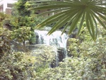 2003080310 Opryland