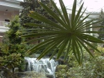 2003080311 Opryland