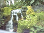 2003080312 Opryland