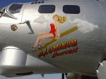 Highlight for Album: Aluminum Overcast