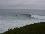 The surf in Santa Cruz